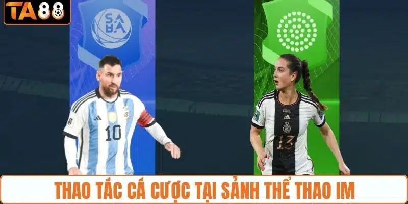 Thao tác cá cược tại sảnh thể thao IM